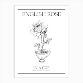English Rose In A Cup Line Drawing 1 Poster Art Print