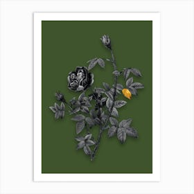 Vintage Moss Rose Black and White Gold Leaf Floral Art on Olive Green n.1201 Art Print