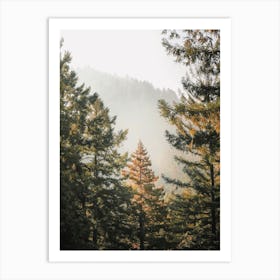 Pine Tree Scenery Art Print