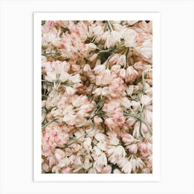 Pink And White Tulips Art Print