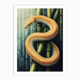 Snake On Bamboo Poster