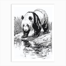 Giant Panda Standing On A Riverbank Ink Illustration 3 Art Print