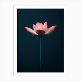 Lotus Flower 12 Art Print