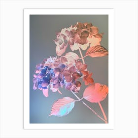 Iridescent Flower Hydrangea 1 Art Print