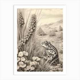 Desert Wave Frog Drawing 5 Art Print