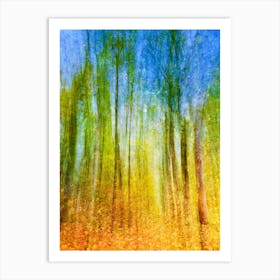 Dusk In The Forest Art Print