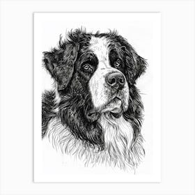 Newfoundland Dog Line Sketch 2 Art Print