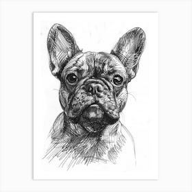 French Bulldog Dog Line Sketch Art Print