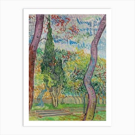 Van Gogh - Parc De L’Hôpital Saint Paul Art Print