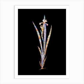 Stained Glass Yellow Banded Iris Mosaic Botanical Illustration on Black 1 Art Print