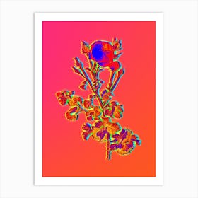 Neon Celery Leaved Cabbage Rose Botanical in Hot Pink and Electric Blue n.0064 Art Print
