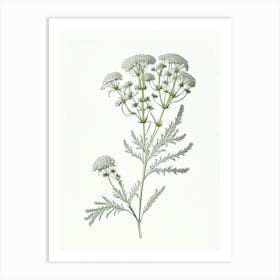 Yarrow Floral Quentin Blake Inspired Illustration Flower Art Print