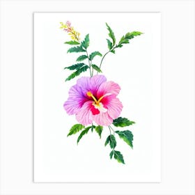 Hibiscus Watercolour Flower Art Print