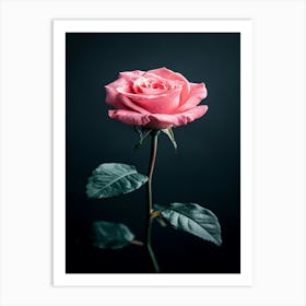 Pink Rose Isolated On Black Background 2 Art Print