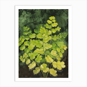 Southern Maidenhair Fern Painting 4 Art Print