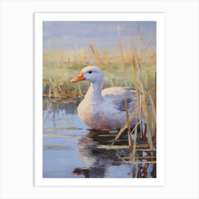 Bird Painting Coot 1 Art Print