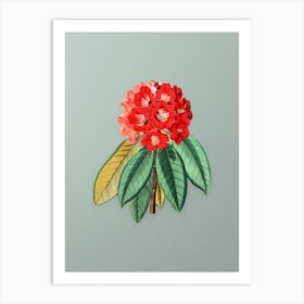 Vintage Rhododendron Rollissonii Flower Botanical Art on Mint Green n.0479 Art Print