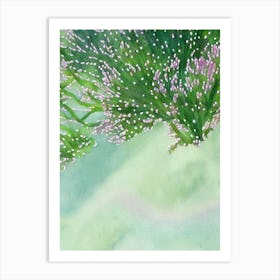 Acropora Loripes Ii Storybook Watercolour Art Print