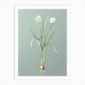 Vintage Narcissus Candidissimus Botanical Art on Mint Green n.0471 Art Print
