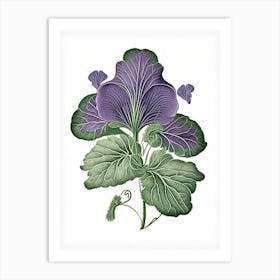 Sweet Violet Leaf Vintage Botanical 2 Art Print