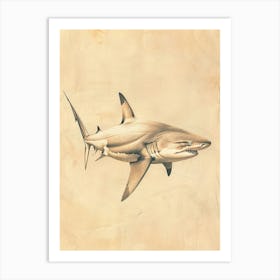 Phoebefy A Pencil Crayon Drawing Of A Shark Centred 1970prese 2195bb1a Fbb7 4268 9d5c 8ad9e61ce27a 2 Art Print