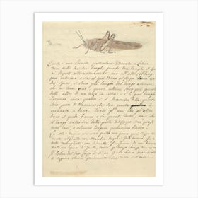 Locust, Luigi Balugani Art Print