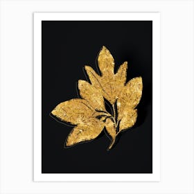 Vintage Bay Laurel Branch Botanical in Gold on Black n.0019 Art Print