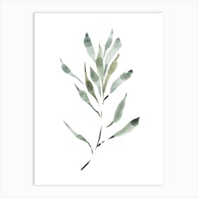 Watercolor Leaf, Olive Branch 2 Art Print