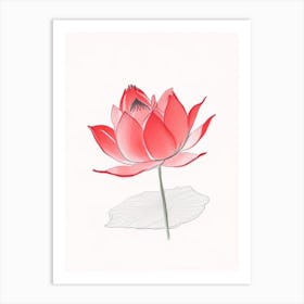 Red Lotus Pencil Illustration 2 Art Print