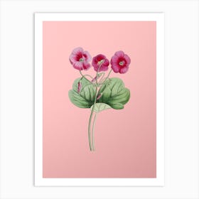 Vintage Bowie's Oxalis Botanical on Soft Pink n.0916 Art Print