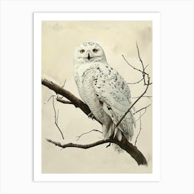 Snowy Owl Vintage Illustration 3 Art Print
