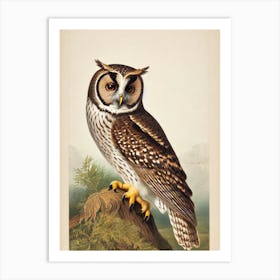 Owl James Audubon Vintage Style Bird Art Print