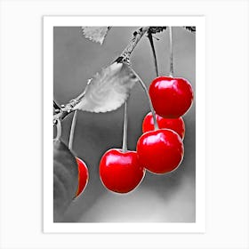 Cherries on the tree 1 Art Print