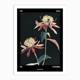 No Rain No Flowers Poster Globe Amaranth 3 Art Print