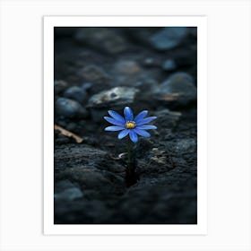 Blue Flower 15 Art Print