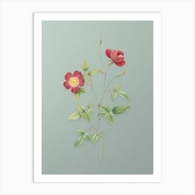 Vintage Indica Stelligera Rose Botanical Art on Mint Green n.0725 Art Print