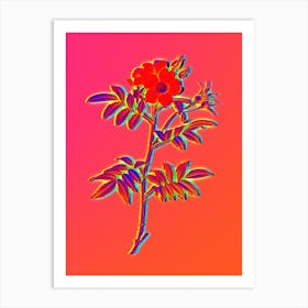 Neon Rosa Redutea Glauca Botanical in Hot Pink and Electric Blue n.0110 Art Print