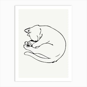 Cat Sleeping, Transparent Png Download Art Print