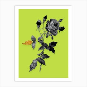 Vintage Provence Rose Black and White Gold Leaf Floral Art on Chartreuse n.0280 Art Print