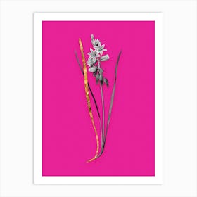 Vintage Drooping StarofBethlehem Black and White Gold Leaf Floral Art on Hot Pink n.0885 Art Print