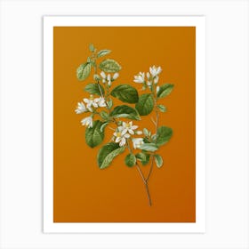 Vintage Snowdrop Bush Botanical on Sunset Orange n.0461 Art Print
