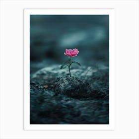 Single Pink Flower 9 Art Print