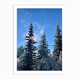 Frosted Pine Trees Glistening Under A Bright Winter Sun Their Branches Heavy With Freshly Fallen Sn (4) Poster