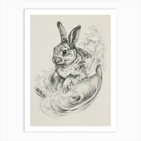 Florida White Rabbit Drawing 4 Art Print