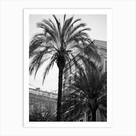 Buildings behind the Palms, Valencia | Black and White Photography 1 Art Print