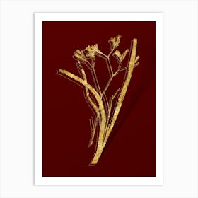 Vintage Anigozanthos Flavida Botanical in Gold on Red n.0544 Art Print