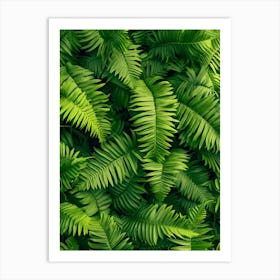 Pattern Poster Giant Chain Fern 2 Art Print