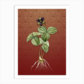 Vintage Trillium Rhomboideum Botanical on Falu Red Pattern n.0484 Art Print