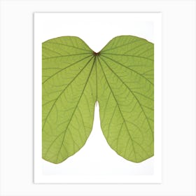 Leaf Butt Art Print