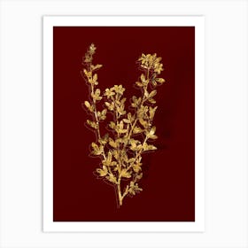 Vintage Yellow Jasmine Flowers Botanical in Gold on Red n.0428 Art Print